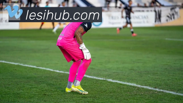 乐思体育服务体系