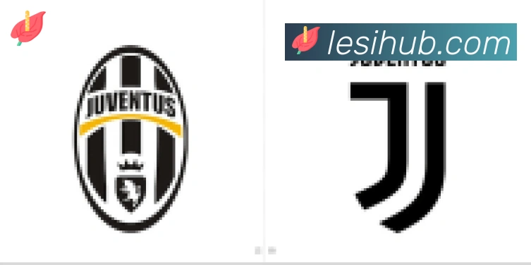 乐思体育合作伙伴