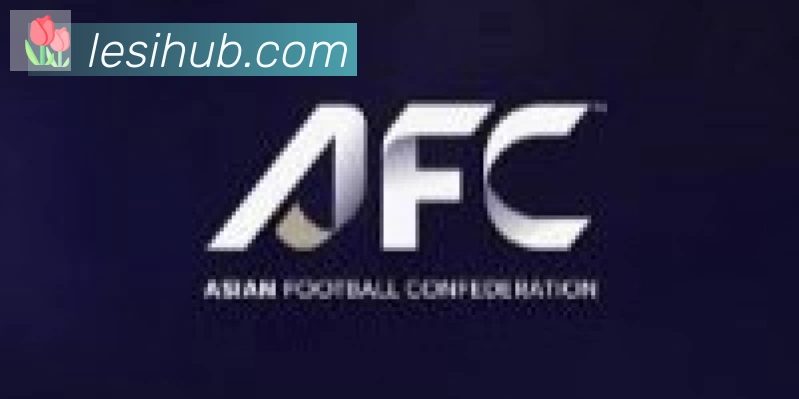 乐思体育合作伙伴