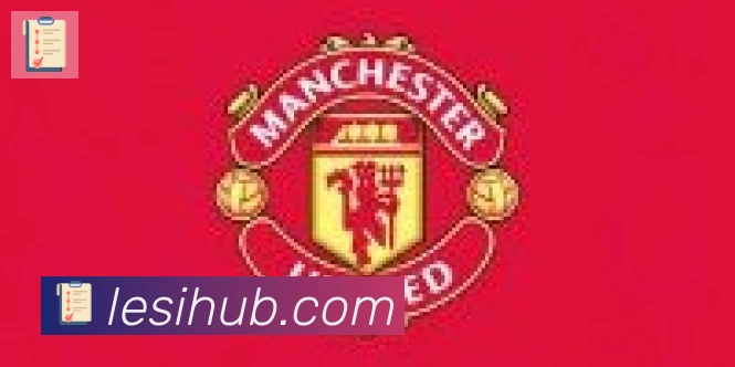 乐思体育合作伙伴